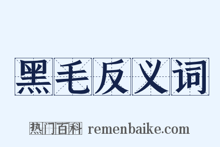 黑毛反义词是什么意思的图片